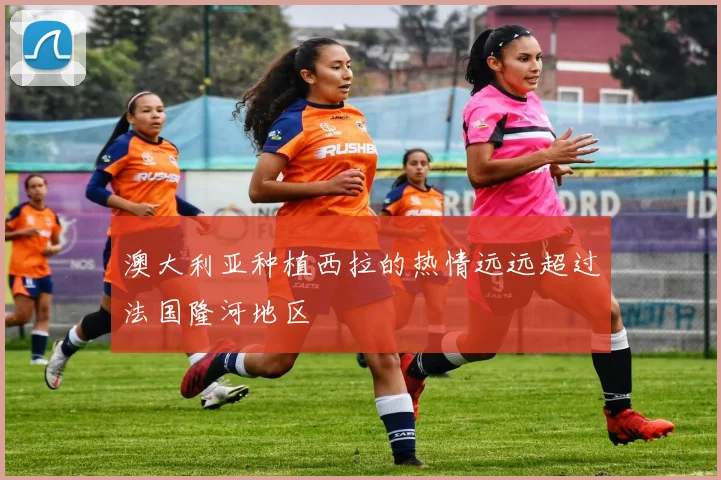 澳大利亚种植西拉的热情远远超过法国隆河地区