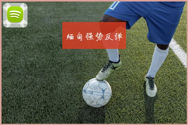 缅甸强势反弹