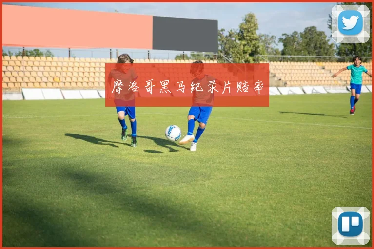 摩洛哥黑马纪录片赔率