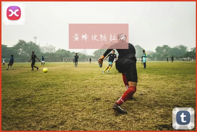 黄蜂攻防拉满
