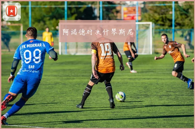 阿诺德对决什琴斯尼