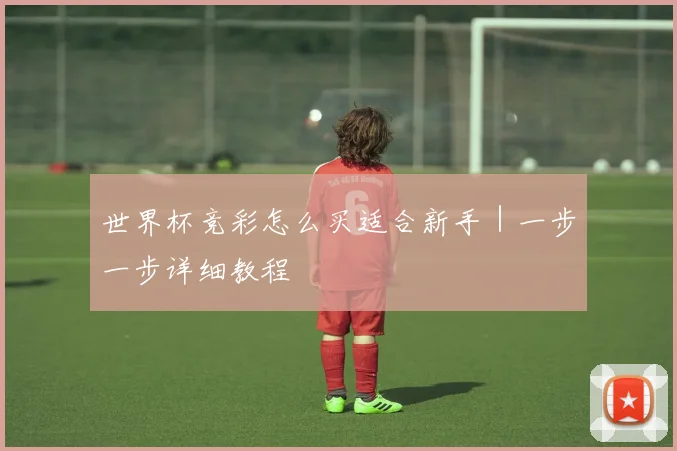 世界杯竞彩怎么买适合新手｜一步一步详细教程