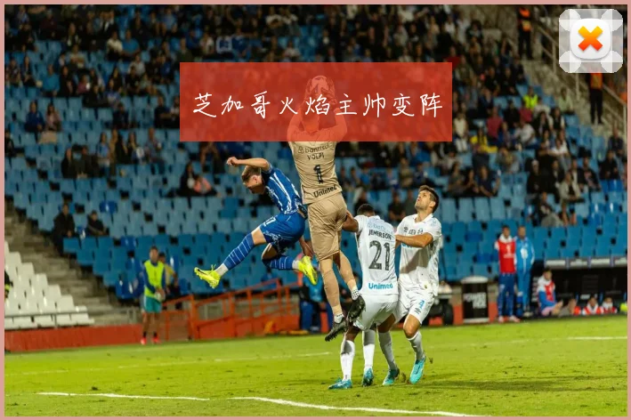 芝加哥火焰主帅变阵