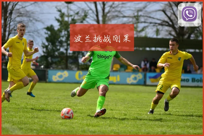 波兰挑战刚果