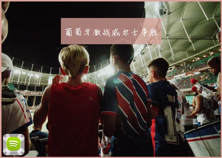 葡萄牙激战威尔士争胜