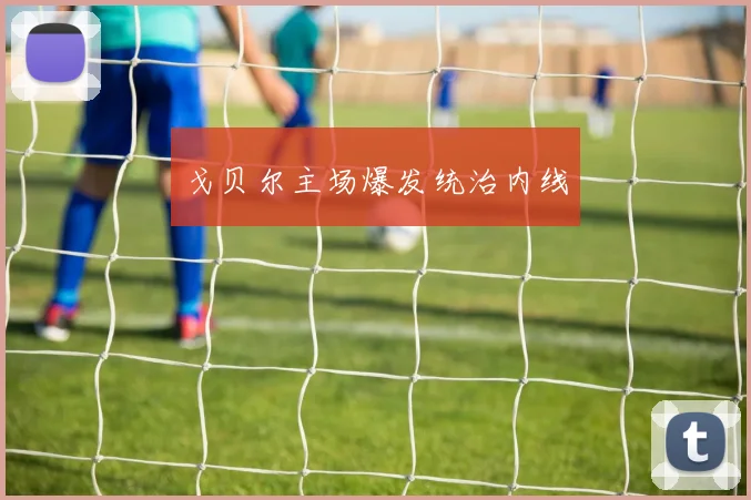 戈贝尔主场爆发统治内线