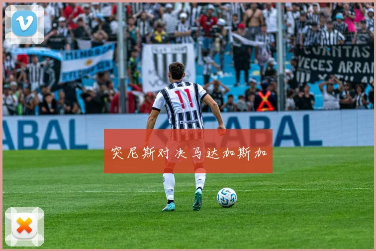 突尼斯对决马达加斯加