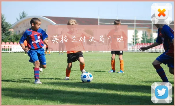 英格兰对决乌干达