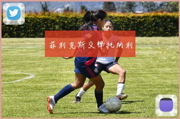 菲利克斯交锋托纳利