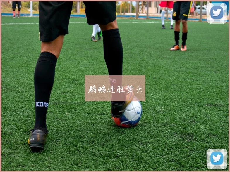 鹈鹕连胜势头