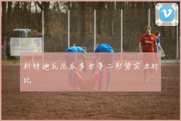 科特迪瓦厄瓜多尔争二形势实力对比