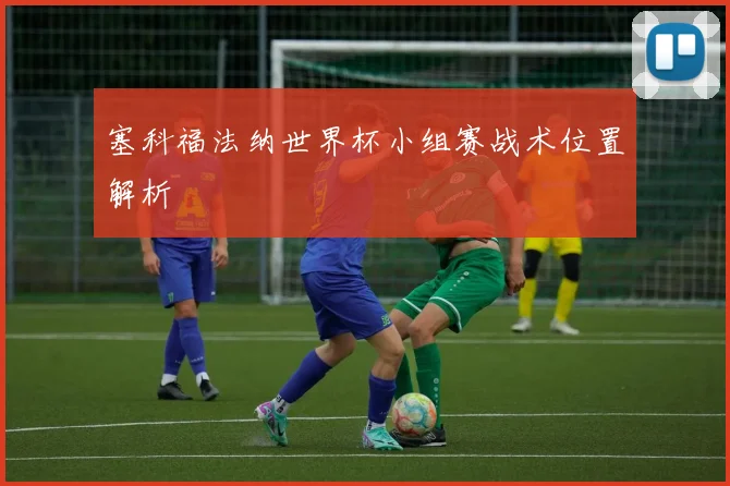 塞科福法纳世界杯小组赛战术位置解析